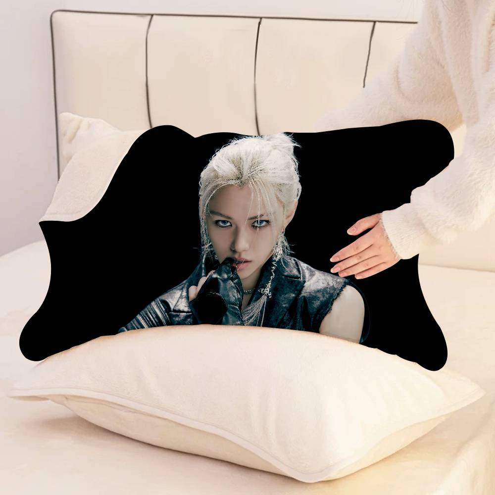 F-FelixS singer.png New Style  - Home Textiles Premium 评论和价格