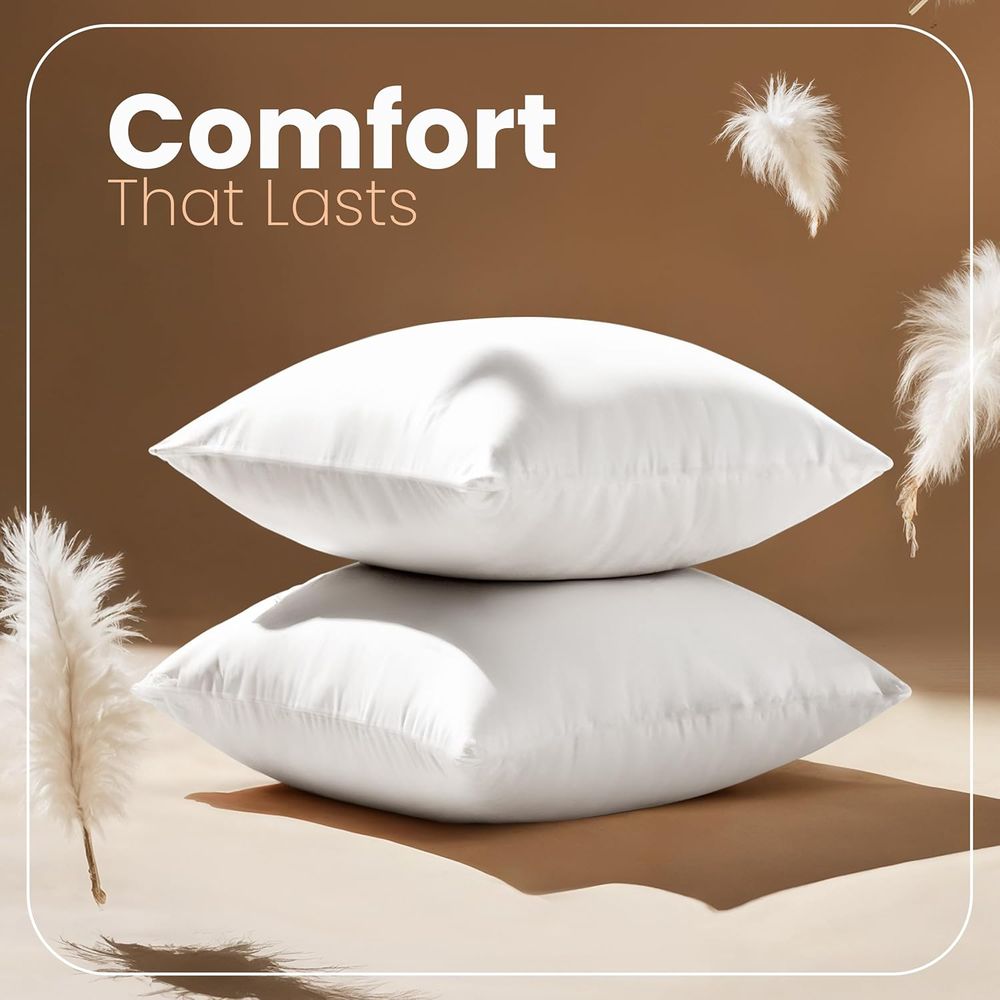 Pair of 18x18 White Pillow Ins - Pillow Insert 18X18 评论和价格